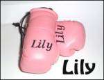 Baby Pink Mini Boxing Gloves printed with Girls names  