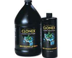 CLONEX   CLONE SOLUTION   QUART   CLONING CUTTINGS  