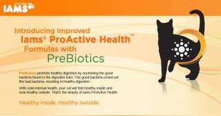 IAMS Kitten Proactive Health Dry Cat Food, 4 Pound Bags (Pack of 5)