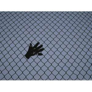 Patterns of a Lone Glove in a Chain Link Fence against Falling Snow 