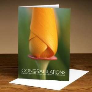  Successories Congratulations Flower Bud 25 Pack Greeting 