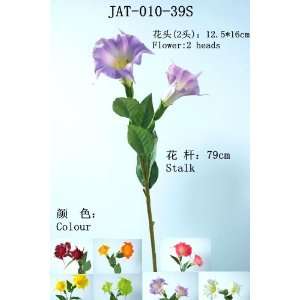  PU Flower Datura stramonium, tolguacha, Jimson weed 