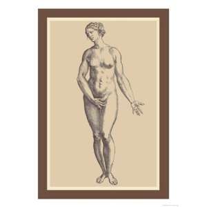  Woman   Poster by Andreas Vesalius (12x18)