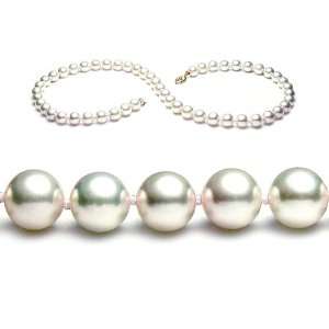   Akoya SaltWater Cultured Pearl Necklace Augustina Jewelry Jewelry