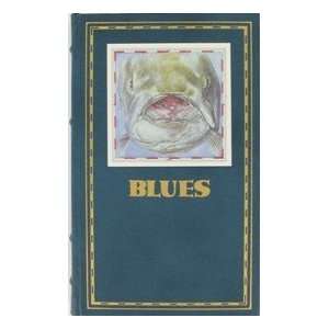  Blues John Hersey, Dugald Stermer Books