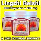 300 capsules lingzhi reishi herb ganoderma lucidum location thailand 