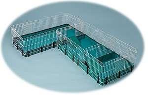 Midwest Guinea Habitat PLUS Leak Proof Guinea Pig Cage  