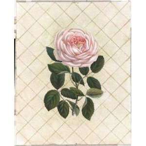  Trellis Rose I by Susan Davies. Size 12.00 X 16.00 Art 