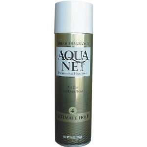  Aquanet Hairspray   Diversion Safe