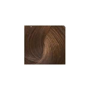  Goldwell Topchic Hair Color   6G Tobacco   2.1 oz Health 