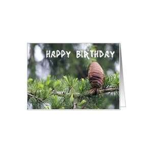 Happy Birthday, Tamarac Tree and Cone Photo, Blank Inside 