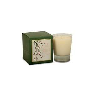  Illume Boxed Glass Candle   Balsam & Cedar