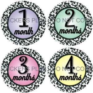 Baby Girl Monthly Onesie Picture Stickers Minty Damask  