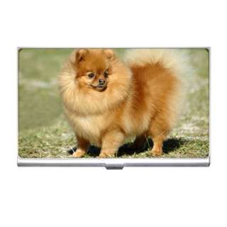 Pomeranian Dog Dogs Puppy Puppies Business Card Holder  