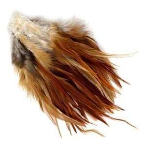  Feather, chicken (natural), brown, 3 1/2 to 7 1/2 inch 