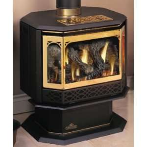  Napolean Fireplaces GDS50 1N 29 in. Direct Vent Stove 