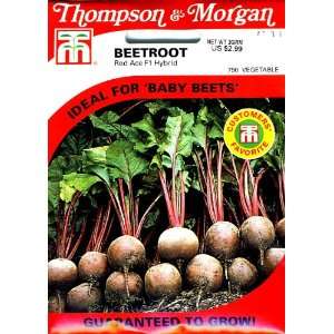  Thompson & Morgan 790 Beet Red Ace Hybrid Seed Packet 