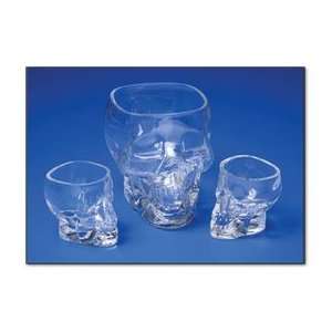 Skull Glassware   Two Shot Glasses 